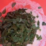 CE9537DB-3093-4F46-845F-B83078ED98B3