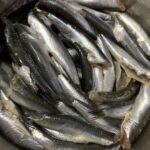 Tencerede Hamsi Buğulama Tarifi (nasıl yapılır-kaç kalori)