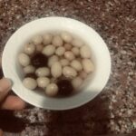 Taze Üzüm Kompostosu Nasıl Yapılır