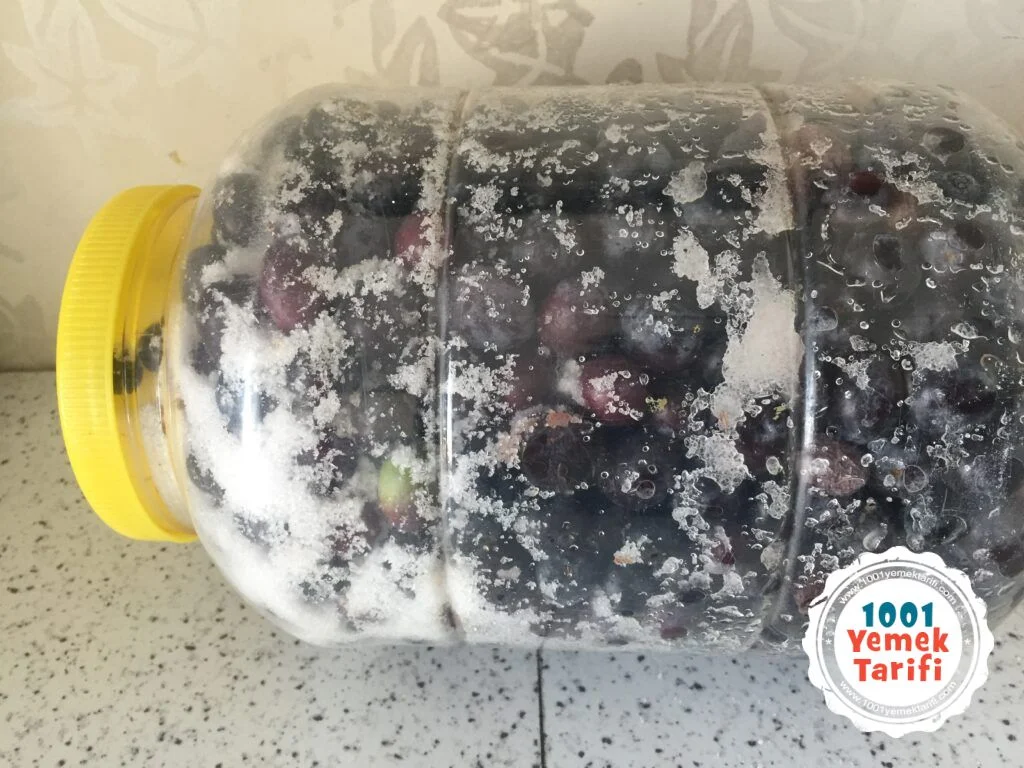 Siyah Zeytin tarif Nasıl Yapılır (Evde zeytin yapımı) kaç kalori