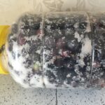 Siyah Zeytin tarif Nasıl Yapılır (Evde zeytin yapımı) kaç kalori