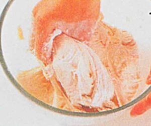 Hindili-Bohca-Boregi-Tarifi-nasil-yapilir-kac-kalori-yapimi-kolay-ev-yapimi-tarifleri-videolu-fotografli