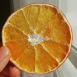 Kurutulmuş Meyve Tarifi resimli anlatım