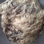 Haşhaşlı Çörek yapımı