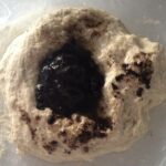 Haşhaşlı Çörek Tarifi