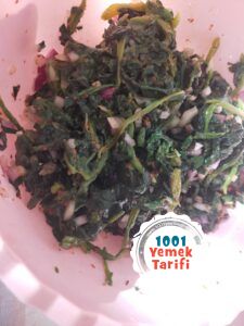 evde pide tarifi-ev yapimi ispanakli pide yapimi