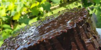 Çikolatalı Yaş Pasta Tarifi nasıl yapılır-kolay pasta yapımı evde ev yapımı- kaç kalori