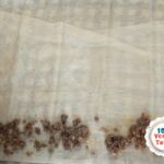 evde nefis ve kolay baklavalık yufkadan kıymalı sarıyer böreği