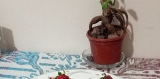 Tembel Gelin Tatlısı