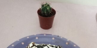 Ev Yapımı Çikolatalı Pasta Tarifi