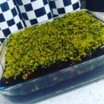 ıspanaklı pasta tarifi-bisküvili pasta yapımı