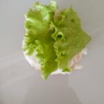 evde kolay Hamburger yapımı