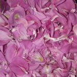 Akasya Reçeli Tarifi-nasıl  yapılır