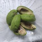 Avokado Salatası tarifi-nasıl yapılır-kaç kalori