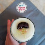 Damla Sakızlı Bisküvili Muhallebi Tarifi