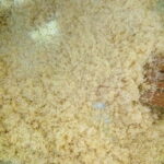 İrmik Helvası nasıl yapılır