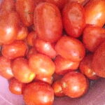 Kışlık Domates Konservesi