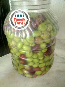Yeşil Zeytin tarifi