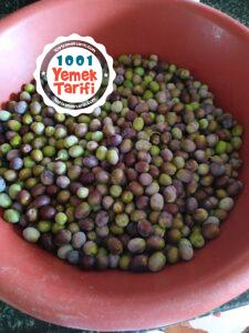 ev yapımı zeytin tarifi