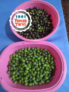 zeytin yapımı