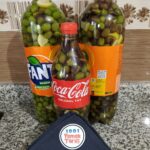 Evde Çizik Zeytin yapımı