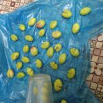 Kırma Yeşil Zeytin Nasıl Kurulur