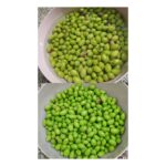 Evde Kırma Yeşil Zeytin Nasıl Kurulur