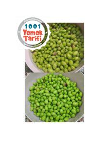 Evde Kırma Yeşil Zeytin Nasıl Kurulur