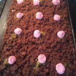 Köstebek Pasta Tarifi