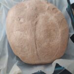 kepekli ekmek tarifi