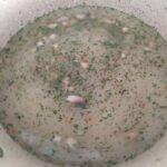 Mantar Çorbası nasıl yapılır