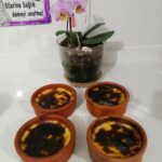 Hamsiköy Sütlacı Nasıl Yapılır