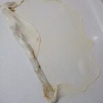 IMG_20220204_194058_573