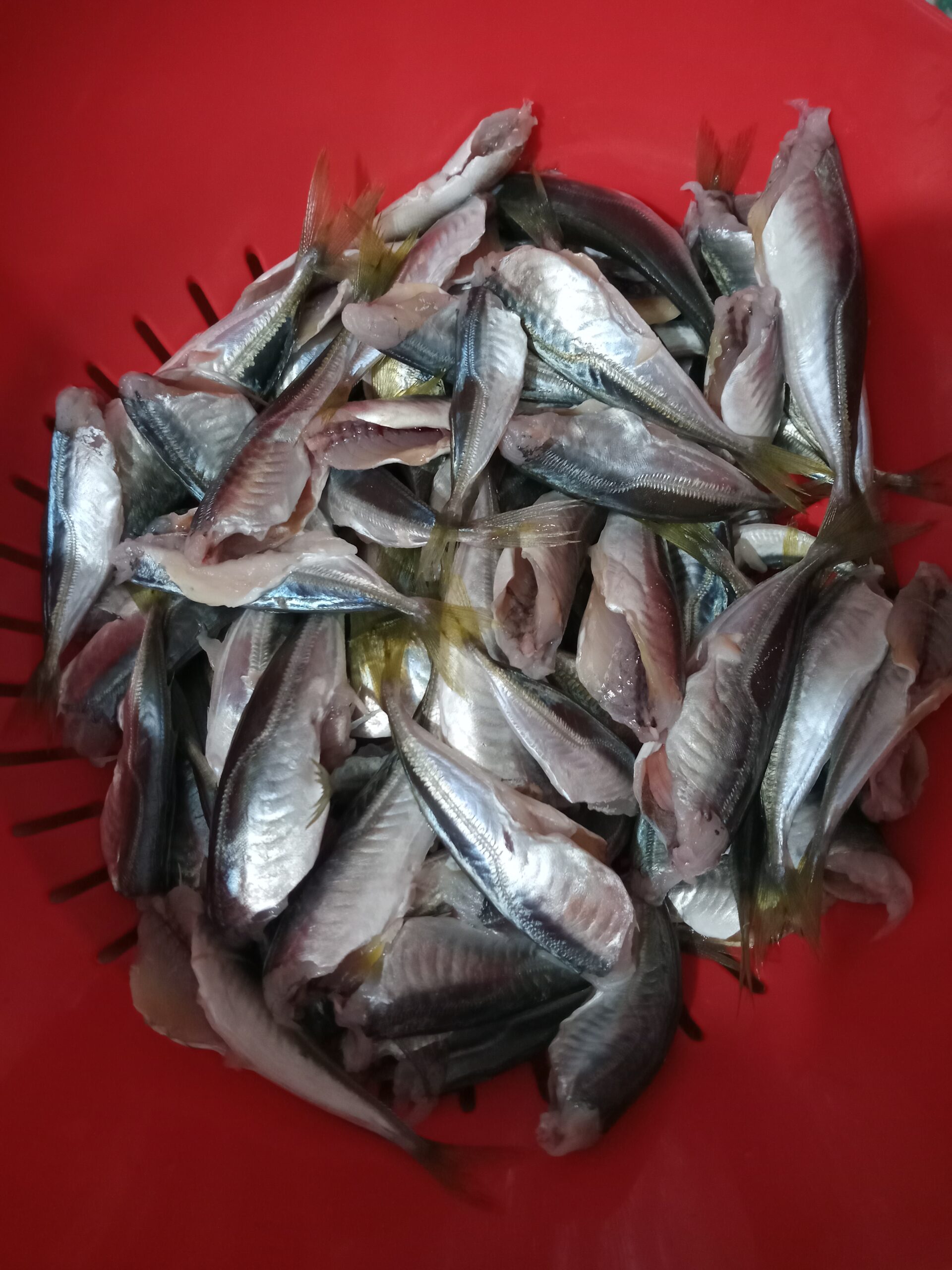 Fırında Sağlıklı İstavrit Tarifi