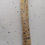 Starbucks Kurabiye Tarifi