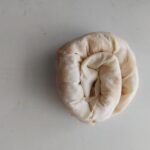 gül böreği yapımı