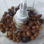 Şekersiz Sağlıklı Hurma Topları