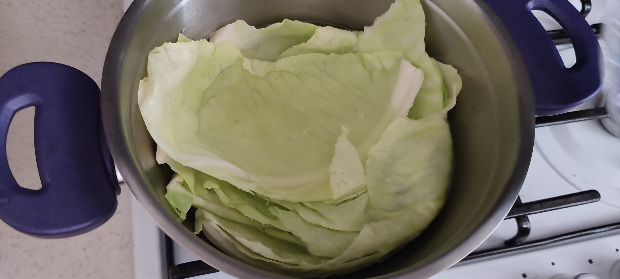 Zeytinyağlı Lahana Sarması