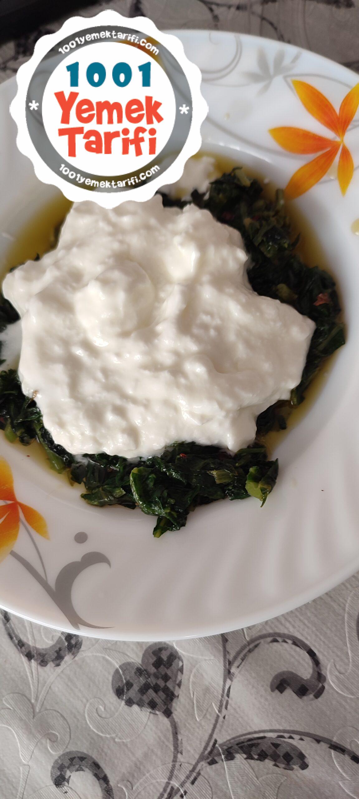 otlu yemek tarifleri