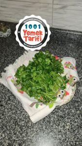 Maydanoz Nasıl Saklanır