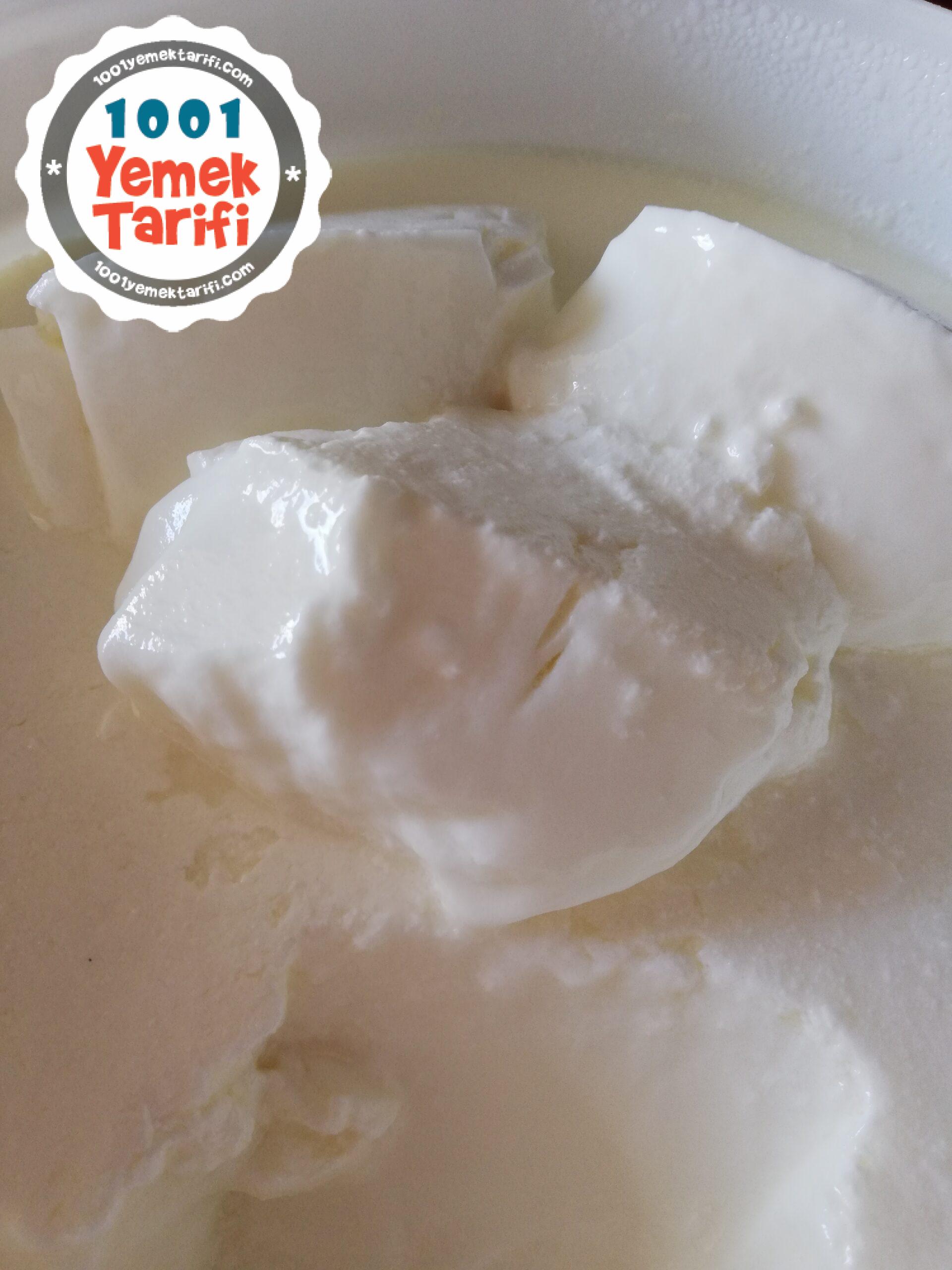 ev yapımı yoğurt tarifi