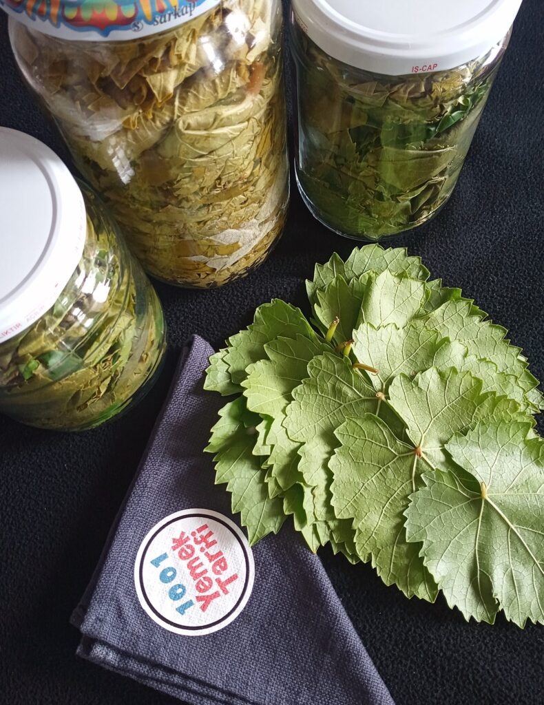 Asma Yaprağı Nasıl kavanozda saklanır