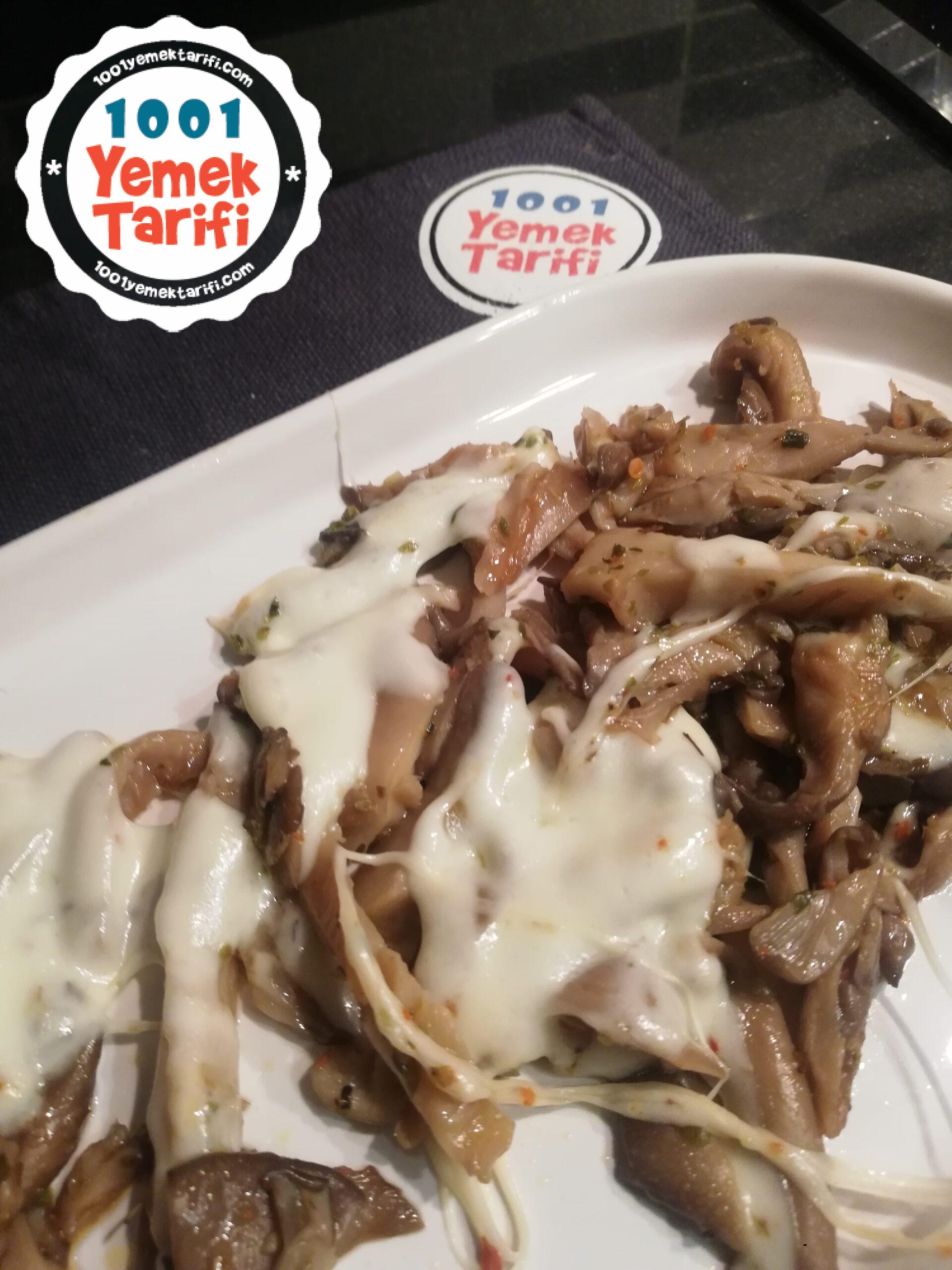 Kaşarlı İstiridye Mantarı