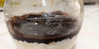 Raffaello Tadında Yulaf Lapası