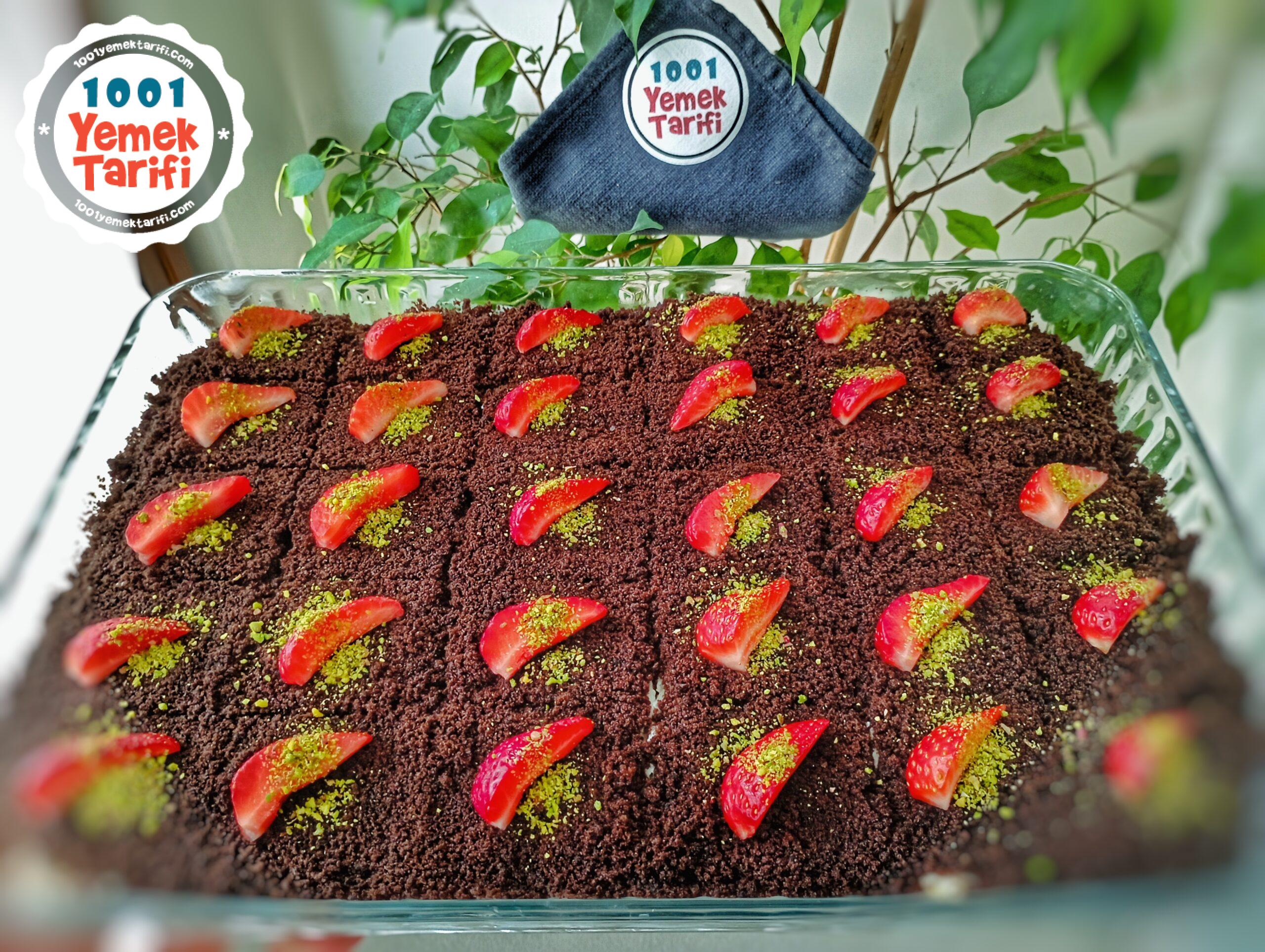 Borcamda Köstebek Pasta Tarifi