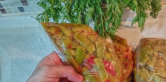 kışlık yeşil fasulye tarifi