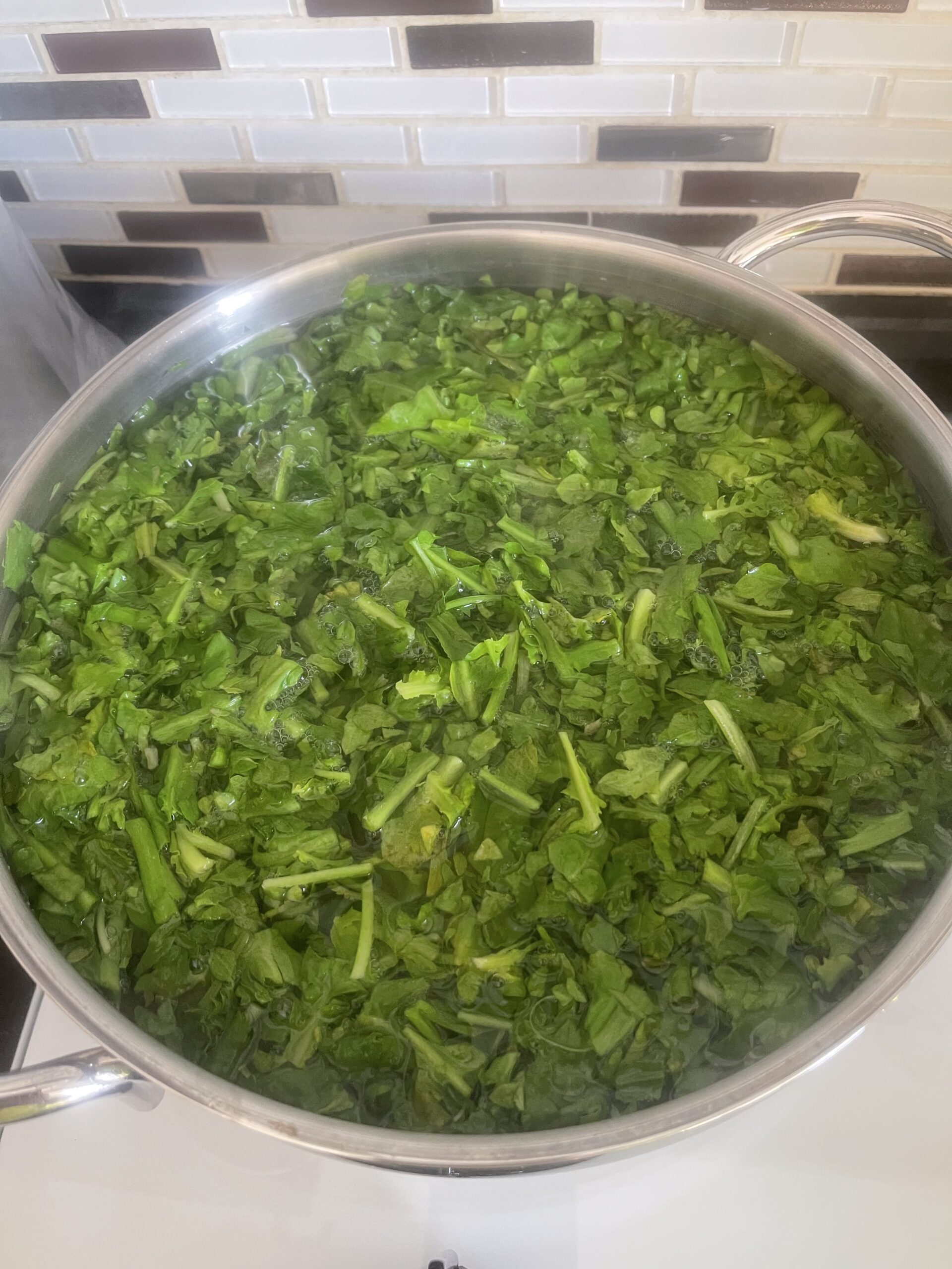 Yoğurtlu Radika Tarifi (Karahindiba)