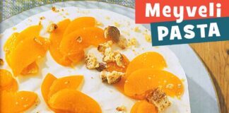 Meyveli Yas Pasta Tarifi-seftali-limon-portakal yapimi-yapilisi-nefis 1001yemektarifi-kac kalori-ev yapimi-evde puf noktasi