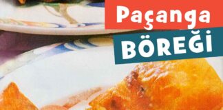 Nefis Pacanga Boregi Tarifi-ev yapimi-kolay-kayseri mutfagi yoresi-1001yemektarifi