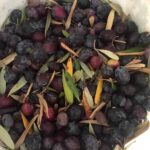 Siyah-Zeytin-Nasil-Yapilir-Evde-zeytin-yapimi-kac-kalorikolay-evde-ev-yapimi-organik